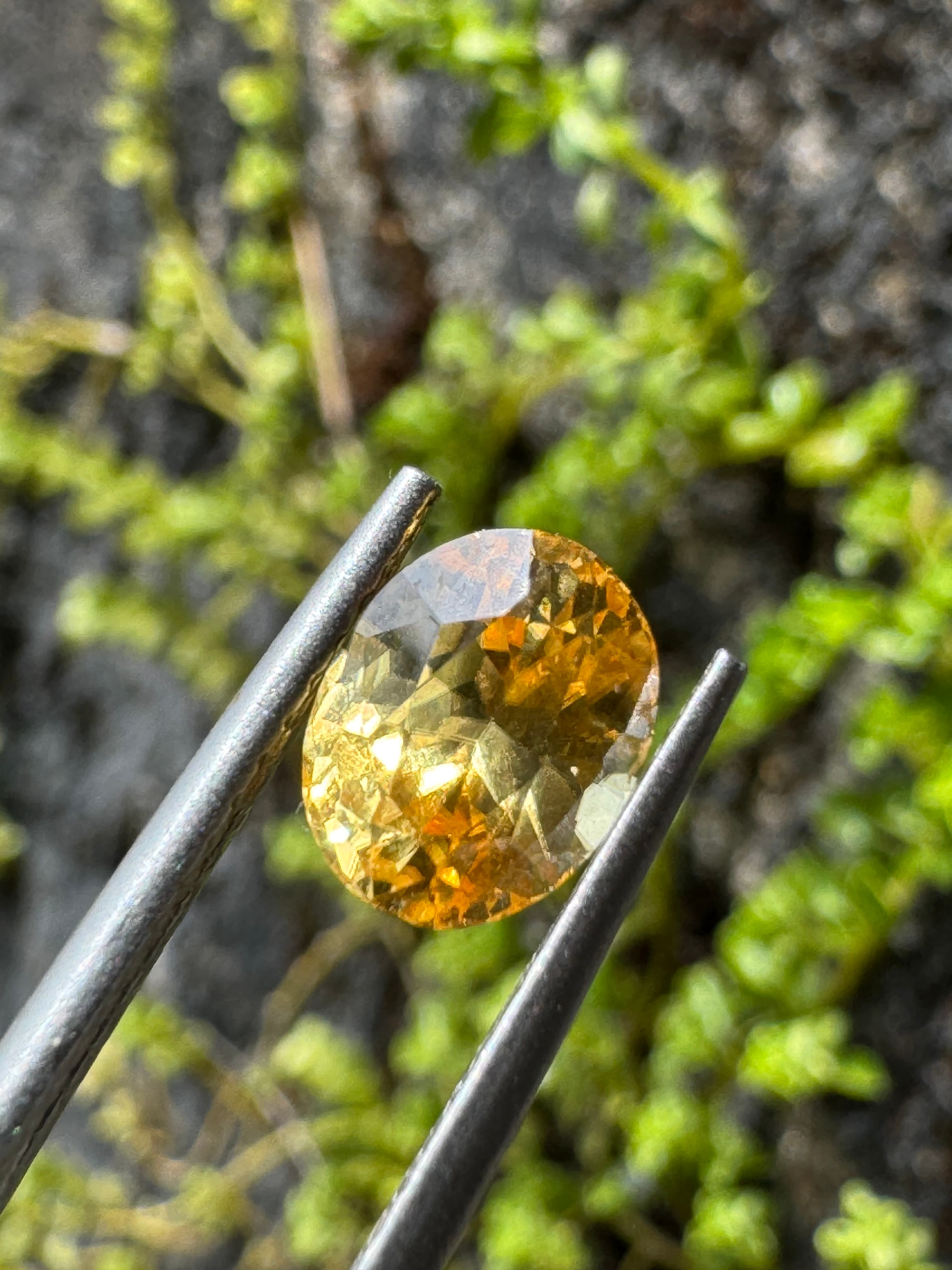 Yellow Zircon